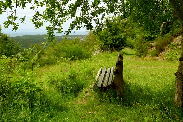 為被動的狀 為被動的狀