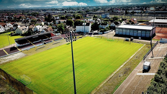 经成为现实 经成为现实