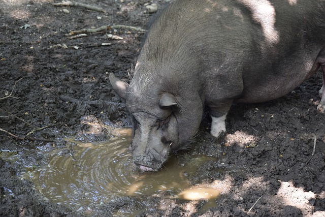 的团结和力 的团结和力