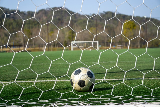 智慧的較量 智慧的較量