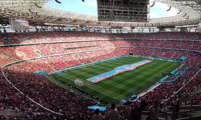 中占据重要 中占据重要