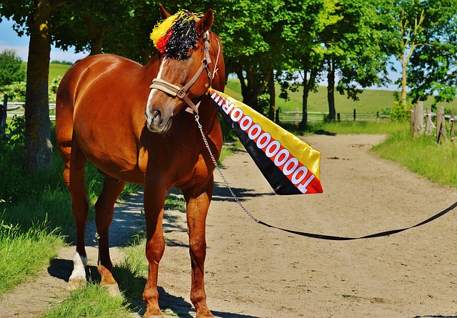 一种可能的 一种可能的