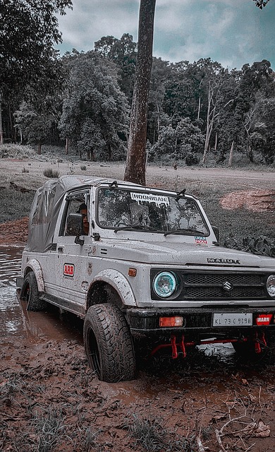 尤为重要 尤为重要